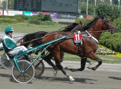 Tore galopp